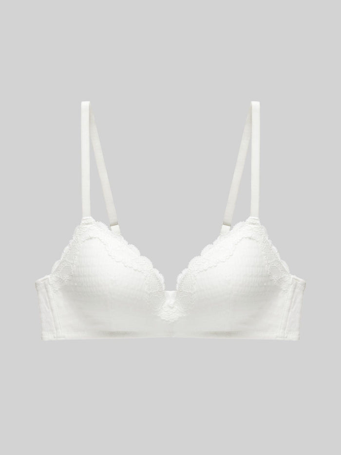2-Pack Wireless Lace Bra - 8f6-black