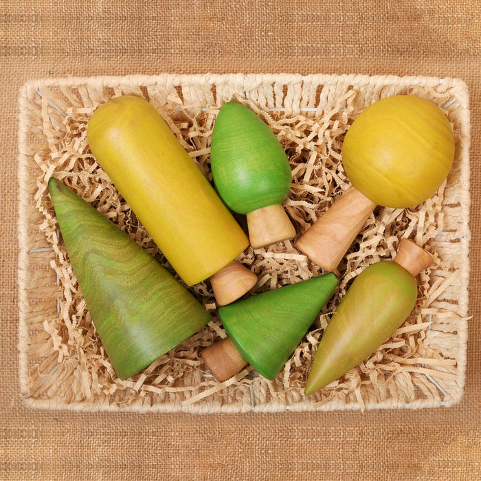 (B) Forest Trees - Set of 6 Trees (All Ages)