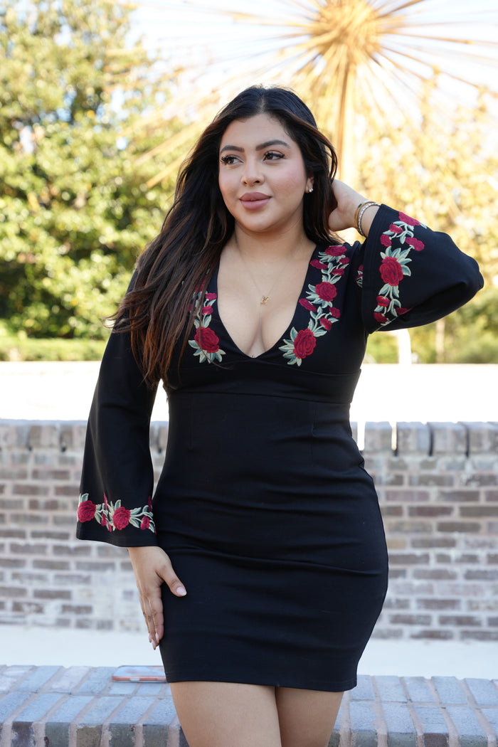 Bella Rosa Black Mini Dress