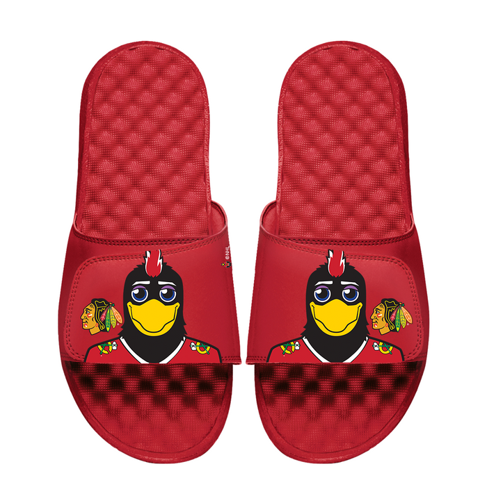 Chicago Blackhawks Mascot