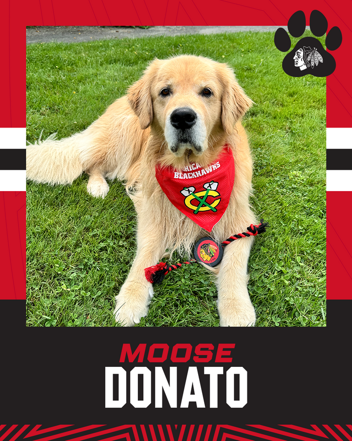 Chicago Blackhawks Pet Puck Rope Toy