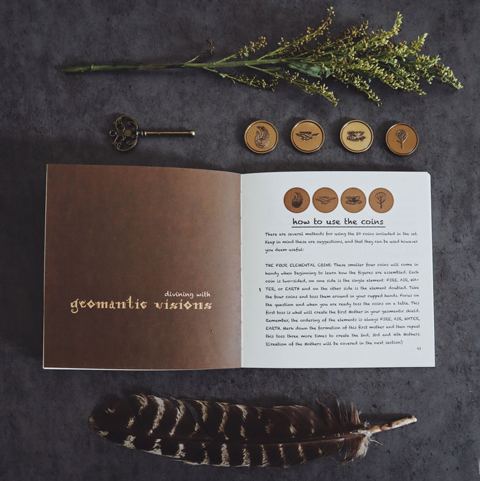 Geomantic Visions (Set of 20 Coins) -  - Geomancy Coins