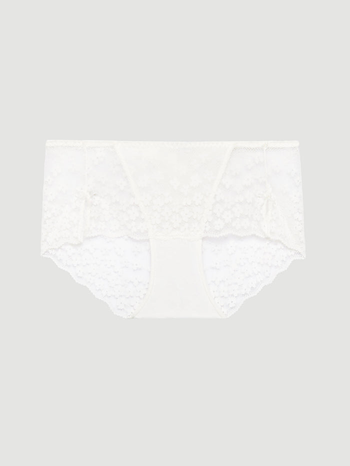 Lace Hiphugger Panty