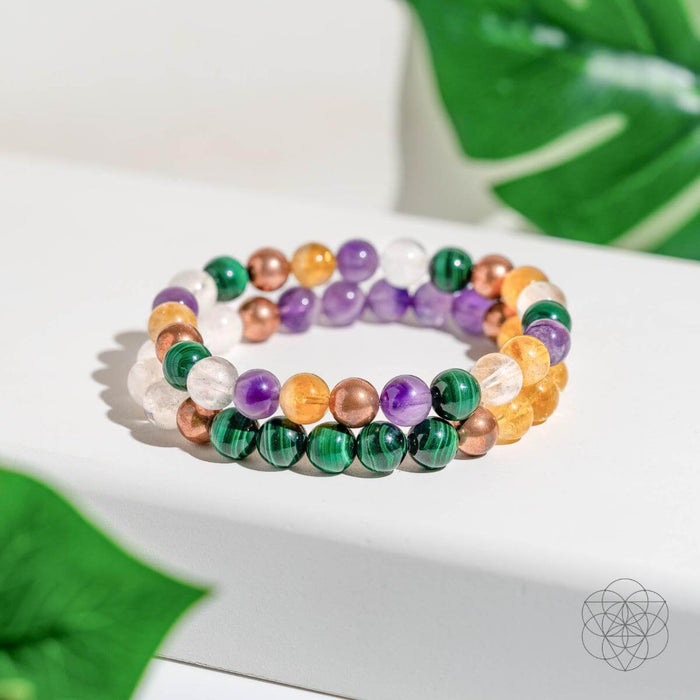 Powerhouse of Wealth Manifestation - Crystal Quartet Bracelet Set -  - Bracelets