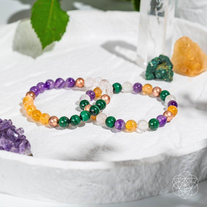Powerhouse of Wealth Manifestation - Crystal Quartet Bracelet Set -  - Bracelets