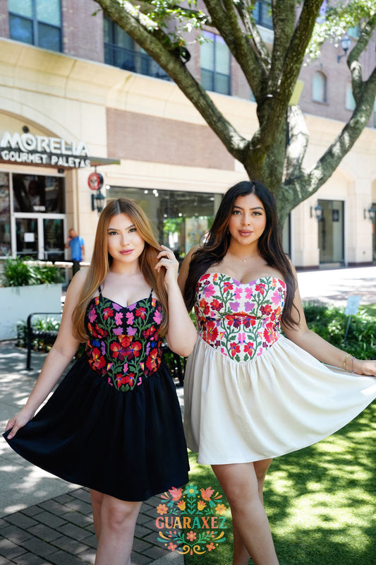 Preciosa Embroidery Dress
