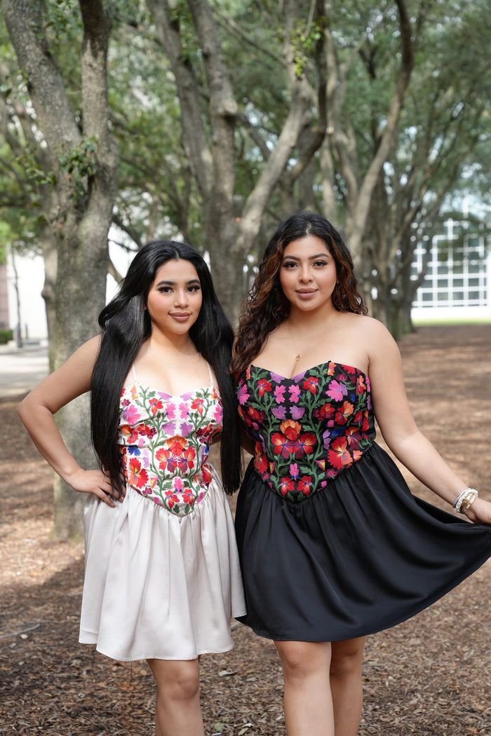 Preciosa Embroidery Dress