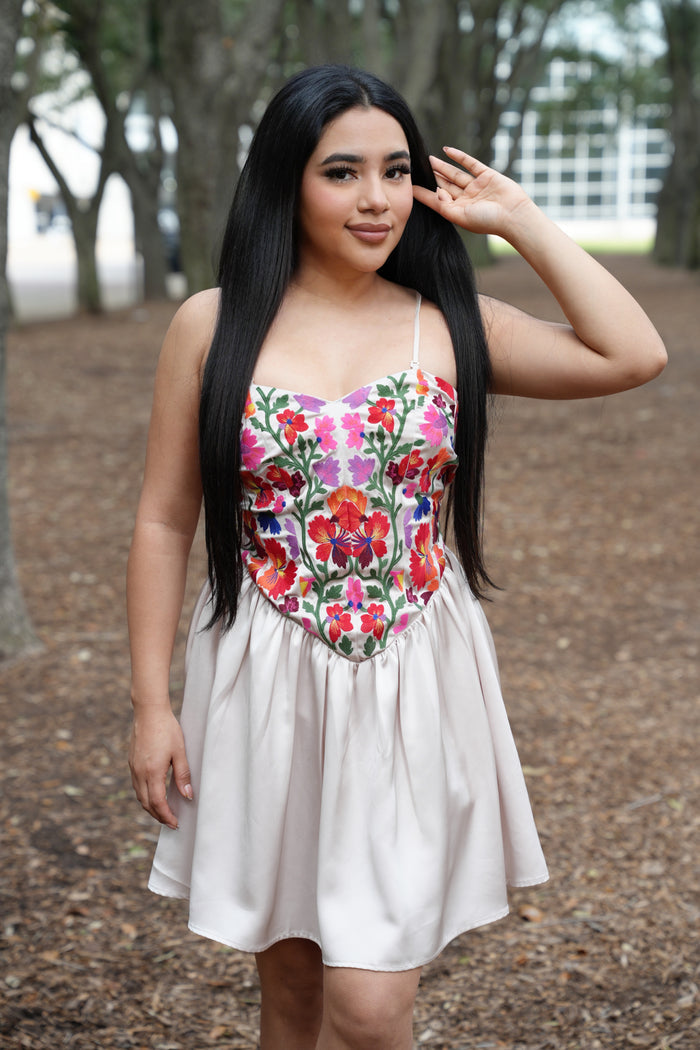 Preciosa Embroidery Dress