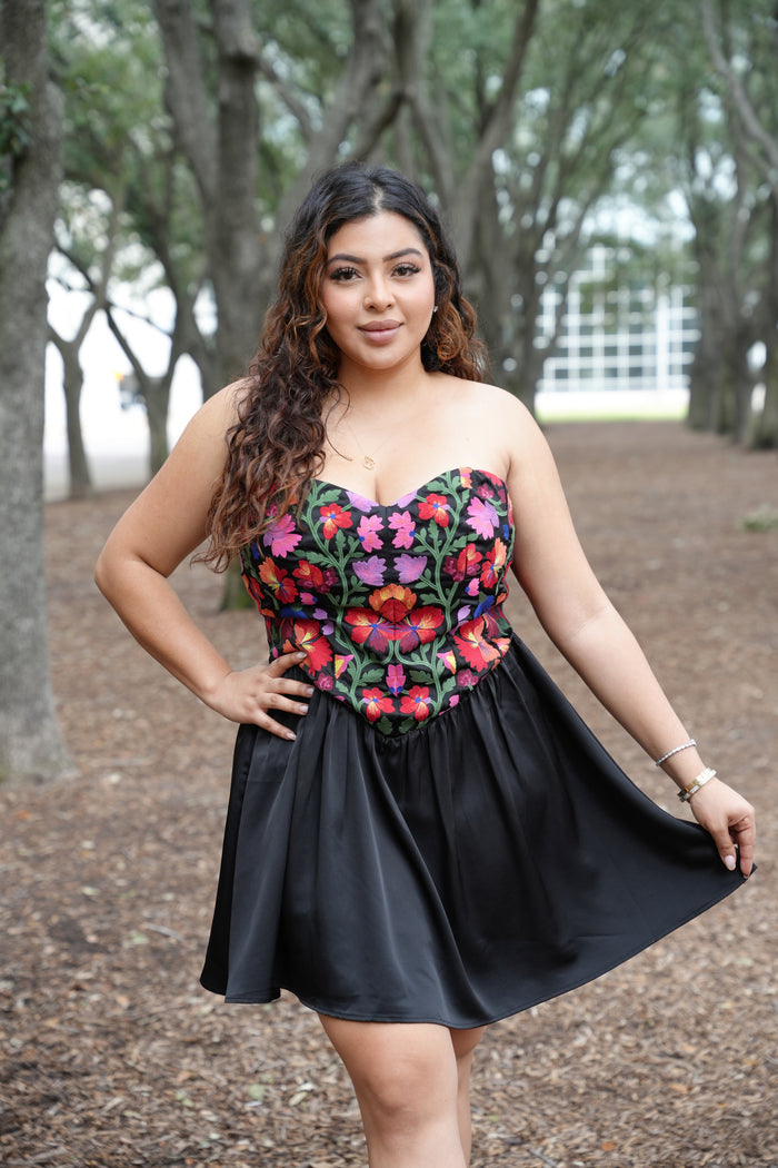 Preciosa Embroidery Dress