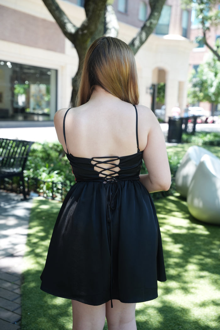 Preciosa Embroidery Dress