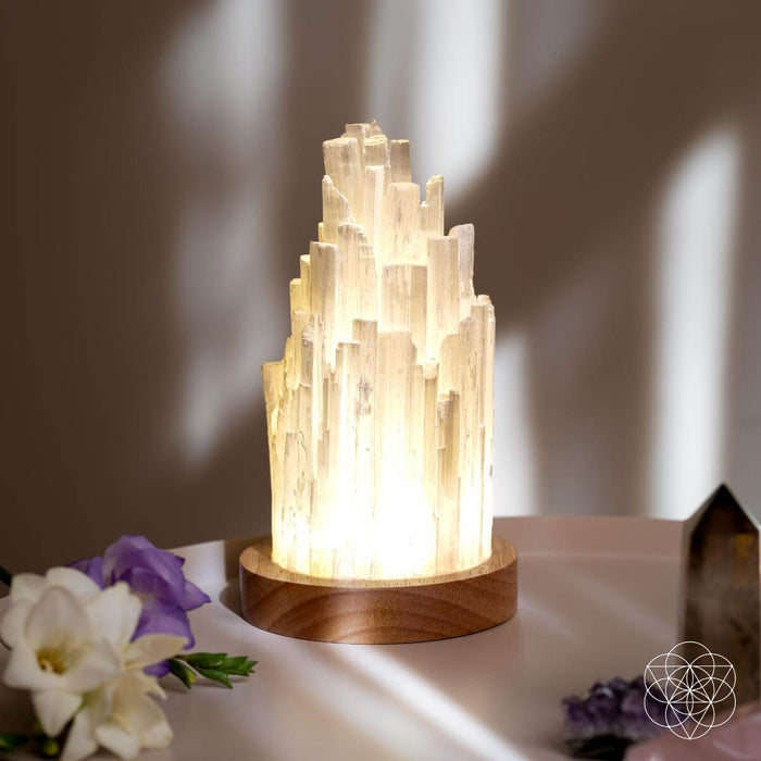 The Cleanse-All Selenite Lamp - 2 Pounds of Healing Power -  - Lamp