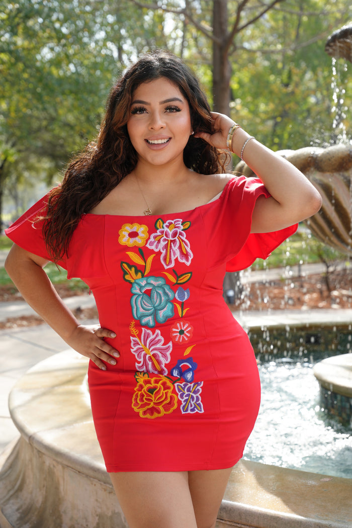 Virtuosa Red Mini Dress